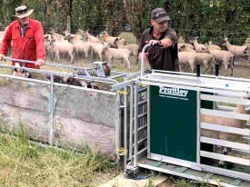 BarNZ Courtenay animal safety trial 2