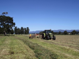 Silage-rowing_Paul-Awikera_12-Feb15-3-scaled.jpg