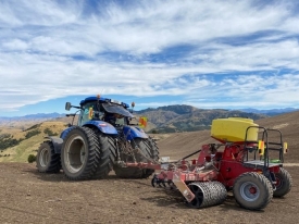 Sowing 4 sm.jpg