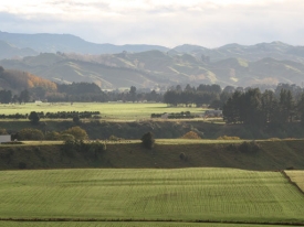 new-pasture-small.jpg