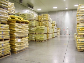 Rolleston-warehouse-coolstore-page-239-scaled.jpg
