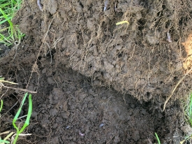soil-structure-e1743730526740.jpg