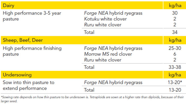Pg 24 - Forge tetraploid hybrid ryegrass - sowing forge - table (1).png