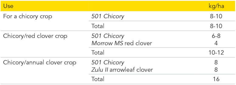 pg 61 - Chicory 501 - Table 3.png