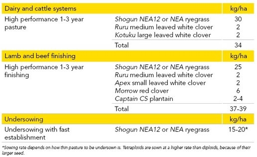 Shogun table 2024.jpg