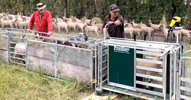 BarNZ Courtenay animal safety trial 2