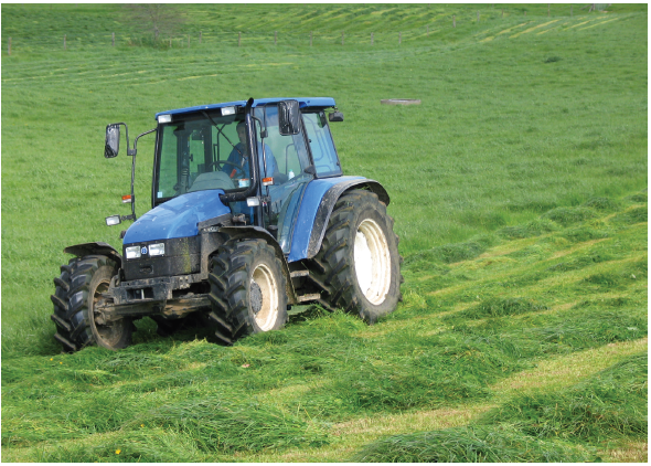 Pg 104 - Managing ryegrass on-farm Spring - Consistency is key - photo.png