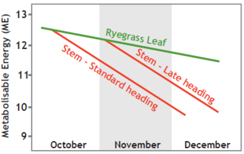 Pg 116 - Using ryegrass heading dates on farm - Advantage of late heading - Graph.png
