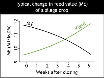 Silage 1.jpg