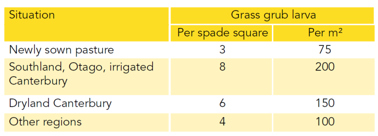 Grass grub Table