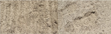 Seedbed BOTH.jpg