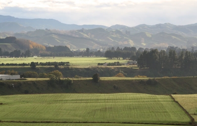 new-pasture-small.jpg