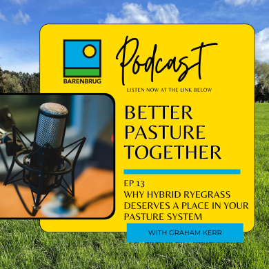 podcast_ep_13_-_why_hybrid_ryegrass_deserves_a_place_in_your_pasture_system.png