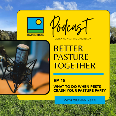 Podcast Episode 15