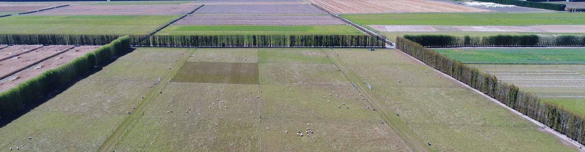 BarNZ Courtenay animal safety trial BIG