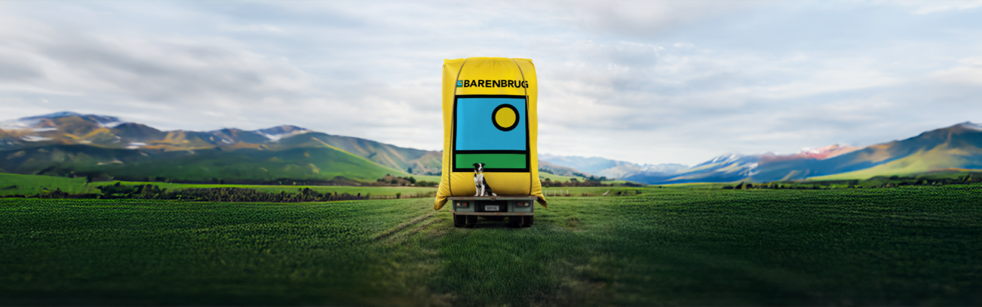 Dogs of Barenbrug Calendar 2026