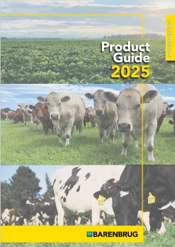 2025 1